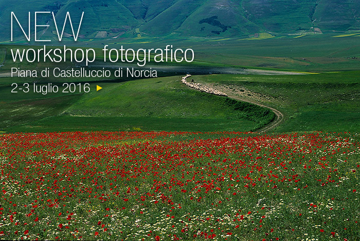 Parco Nazionale dei Monti Sibillini, Piana di Castelluccio di Norcia