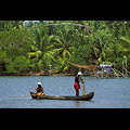Kerala - Baia di Cochin