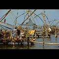 Kerala, Baia di Cochin