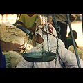 Tiflet Souk