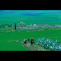 Città romana di Volubilis