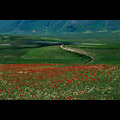 Piana di Castelluccio di Norcia