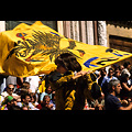 Siena - Palio, corteo storico, alfiere dell'Aquila al Duomo