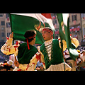 Siena - Palio, corteo storico, sbandierata degli alfieri dell'Oca