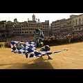 Siena - Palio, corteo storico, sbandierata degli alfieri dell'Onda