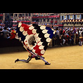 Siena - Palio, corteo storico, sbandierata dell'alfiere dell'Istrice