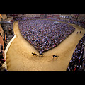 Siena - Palio, la prova