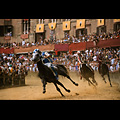 Siena - Palio, la corsa in piazza del Campo