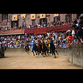 Siena - Palio, la corsa in piazza del Campo