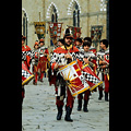 Arezzo - Giostra del Saracino